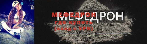 дживик Ельня