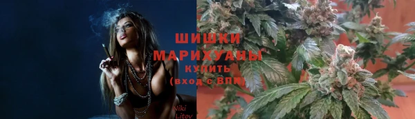 эйфоретик Арсеньев