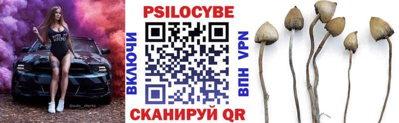 Галлюциногенные грибы мицелий  Курганинск 